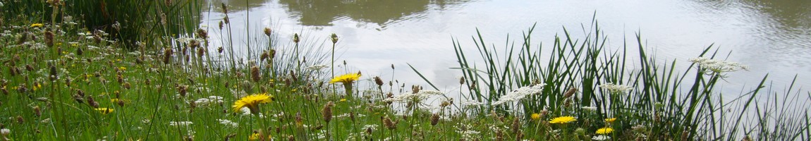 Bord de rivière